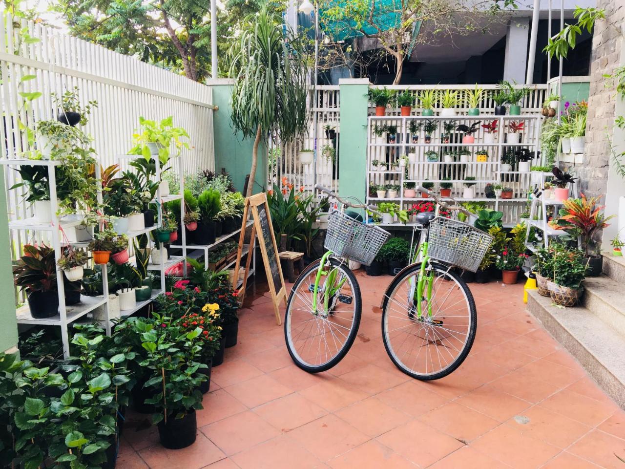 Bamboo Homestay フエ エクステリア 写真