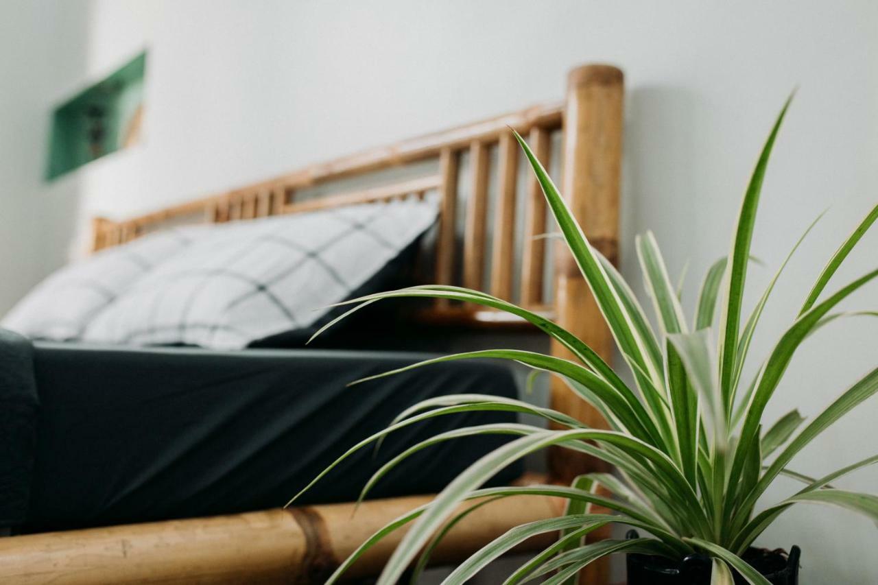Bamboo Homestay フエ エクステリア 写真